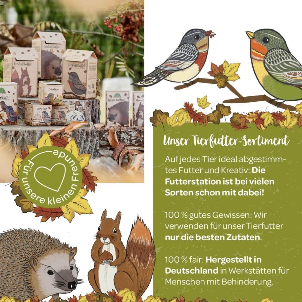 Freiluftbuffet Singvögel, die Stadtgärtner