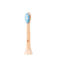 Bamboo Sonic Professional Aufsteckbürsten (2 Stk.), Hydrophil