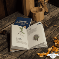 Adventskalender „urbanes Gartenglück“ Magic Gardenseeds