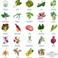 Adventskalender „urbanes Gartenglück“ Magic Gardenseeds
