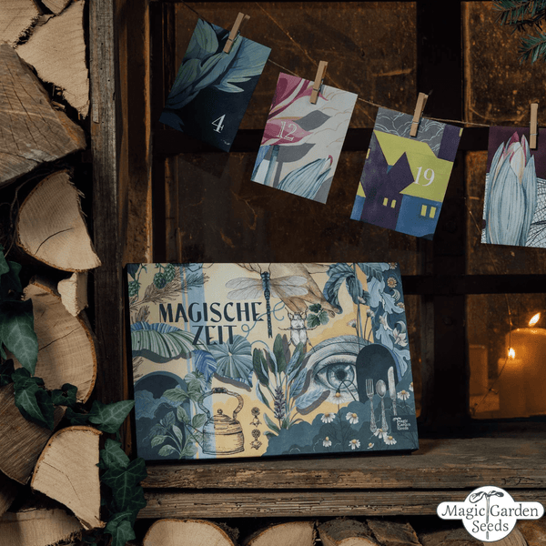 Adventskalender „wundersame Kräuterwelt“ Magic Gardenseeds