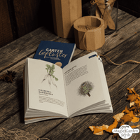 Adventskalender „wundersame Kräuterwelt“ Magic Gardenseeds