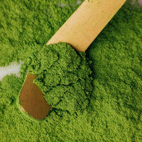 Bio - Matcha Tea - Traditional, Health Bar