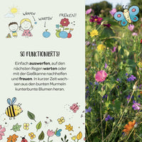 Finns wilde Wiese Blumenmurmel, Die Stadtgärtner