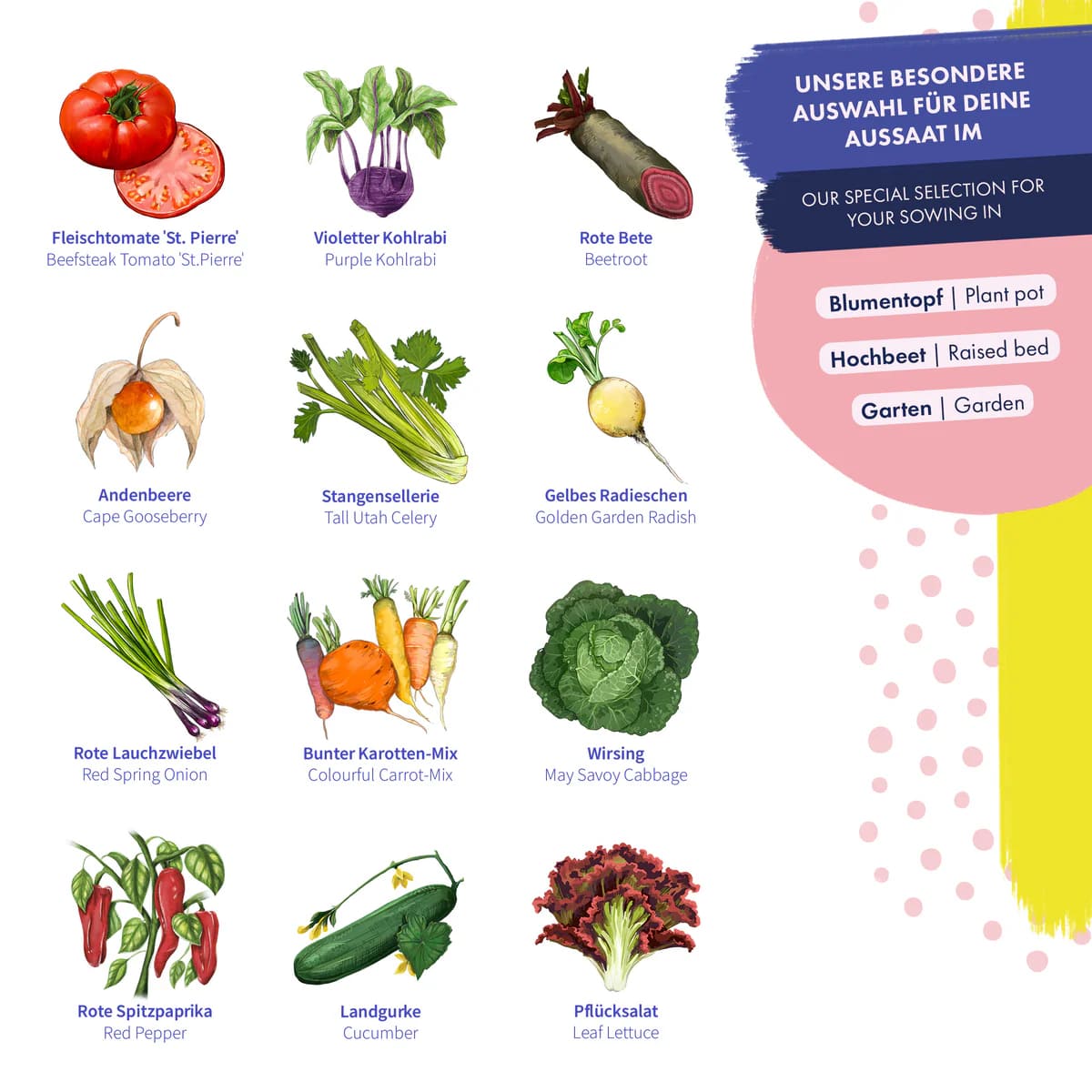 Saatgut Samenset ,,Gemüse Samen - simple & erfolgreich’‘ - Magic Garden Seeds