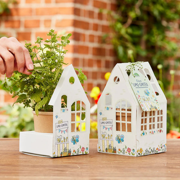 Gewächshäuschen für Kinder, Die Stadtgärtner