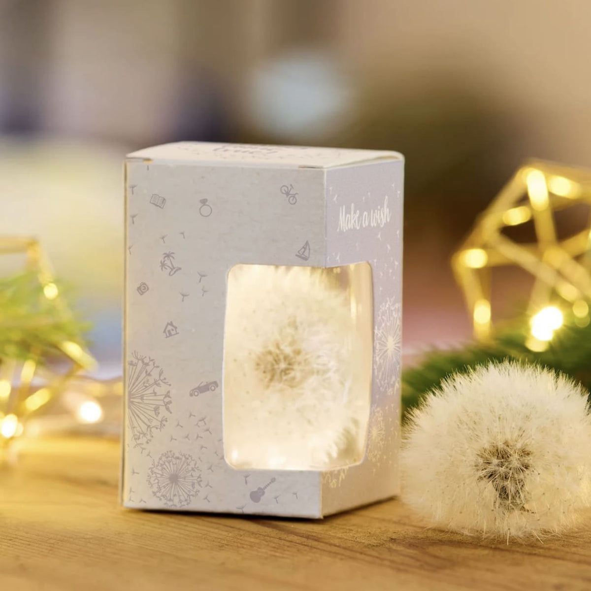 Wunscherfüller "Make a wish" Geld-Geschenk, die Stadtgärtner