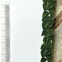 Notizblock A6 gepunktet - Philodendron Gloriosum , plantyintroverts