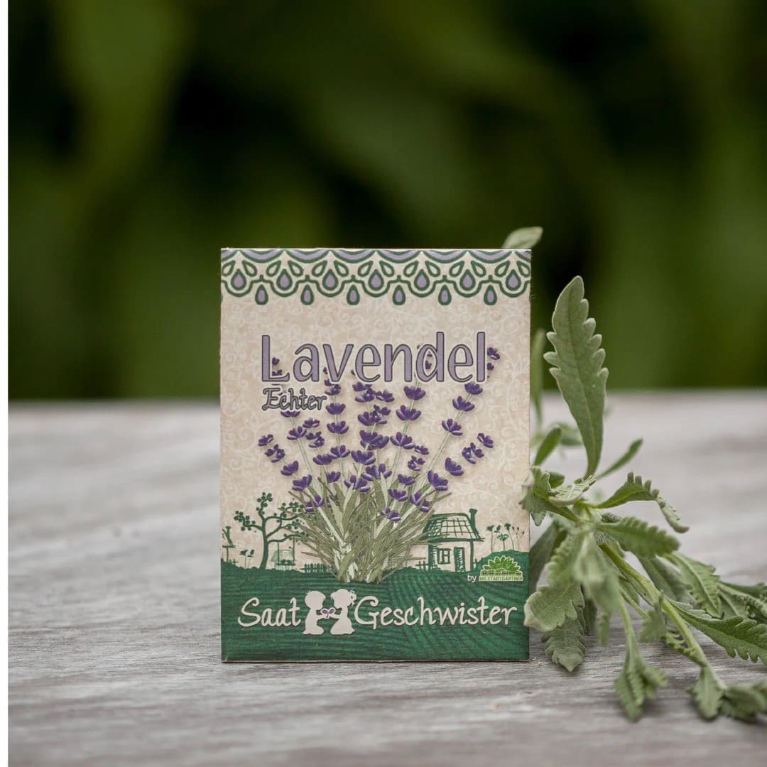 Saatgut „echter Lavendel“ Stadtgärtner