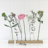 Blumenwiese, vnf