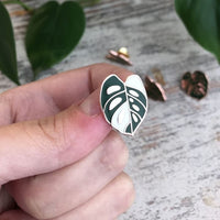 Pin Emaille „monstera adansonii variegata Blatt“, plantyintroverts