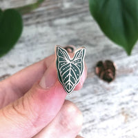 Pin Emaille „syngonium Blatt“,plantyintroverts
